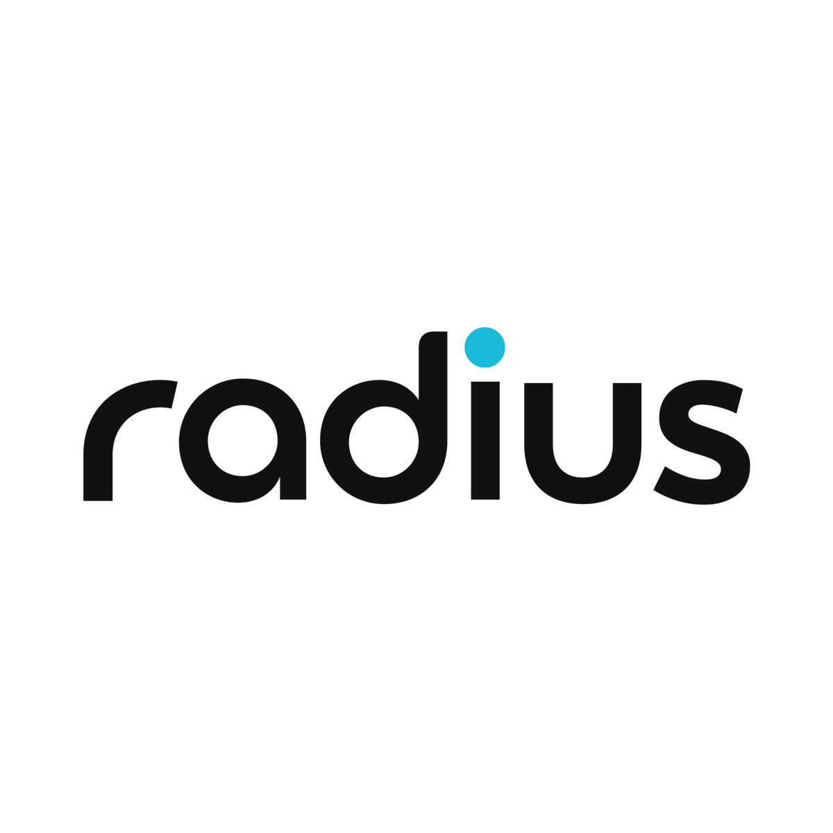 Radius Rsa Logo Radius Windshields Australia | High Quality Windshields & Shock Mounts